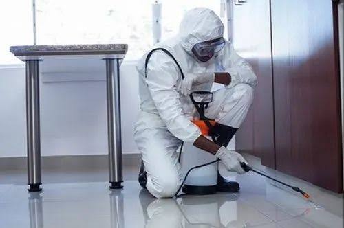 Pest control technician treating an indoor floor edge
